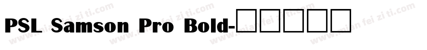 PSL Samson Pro Bold字体转换